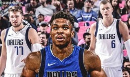 独行侠最新爆料,揭秘球队内部动态与未来战略布局